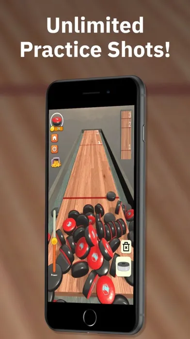 Tabletop Shuffleboard Screenshots