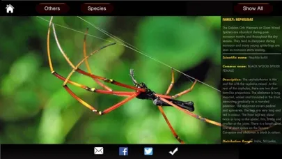 Spiders eGuide 스크린샷