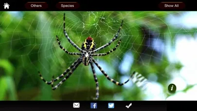 Spiders eGuide 스크린샷