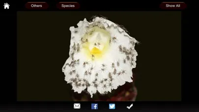 Spiders eGuide 스크린샷