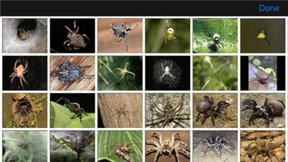 Spiders eGuide 스크린샷