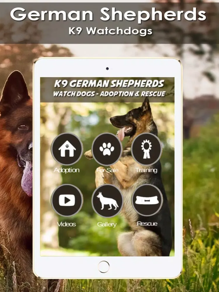 ภาพหน้าจอของ K9 German Shepherds Watch Dogs - Rescue Dogs Prem iPad 