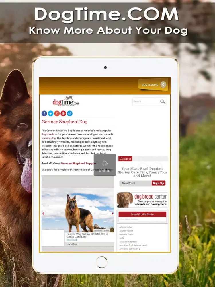 ภาพหน้าจอของ K9 German Shepherds Watch Dogs - Rescue Dogs Prem iPad 
