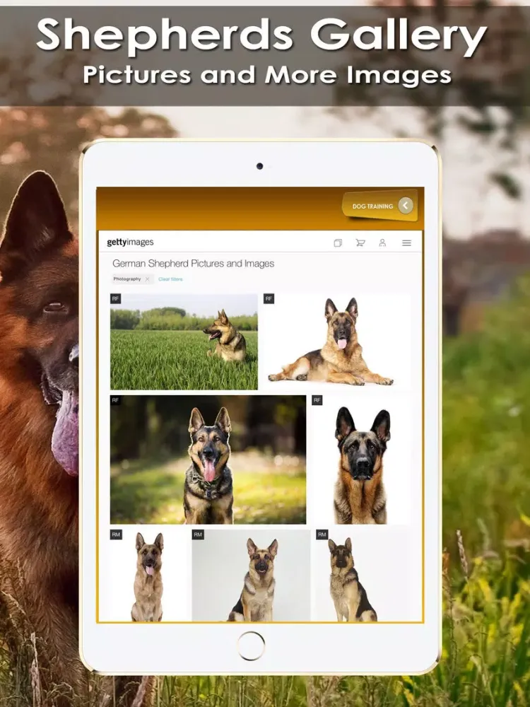 ภาพหน้าจอของ K9 German Shepherds Watch Dogs - Rescue Dogs Prem iPad 