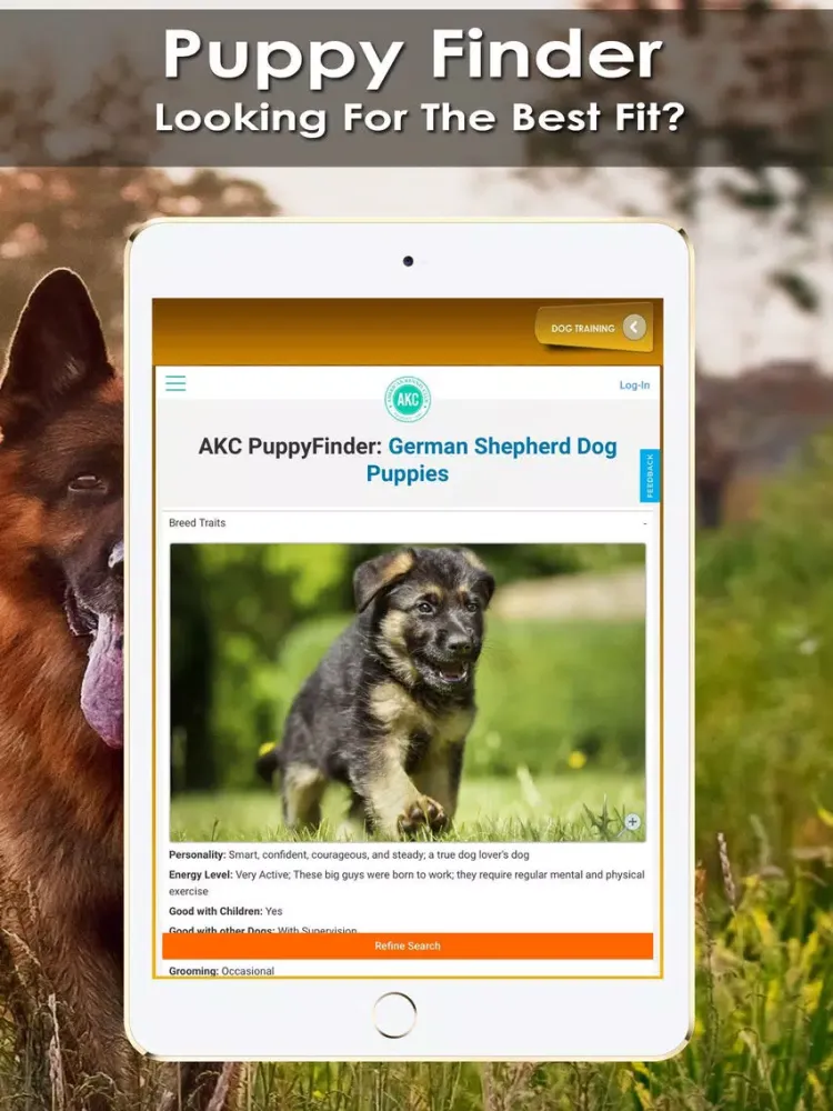 ภาพหน้าจอของ K9 German Shepherds Watch Dogs - Rescue Dogs Prem iPad 