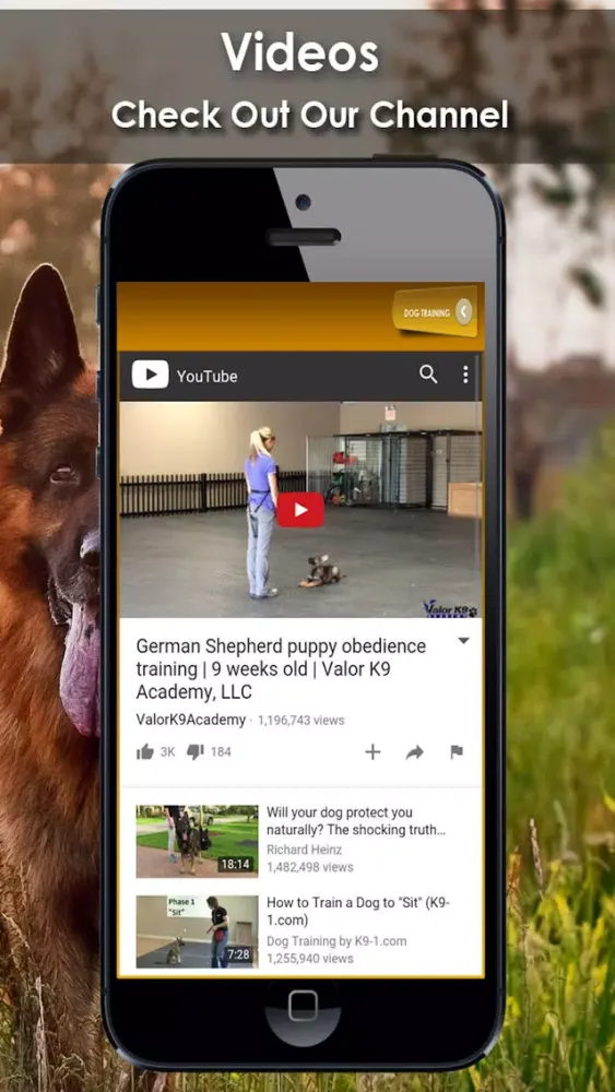 ภาพหน้าจอของ K9 German Shepherds Watch Dogs - Rescue Dogs Prem