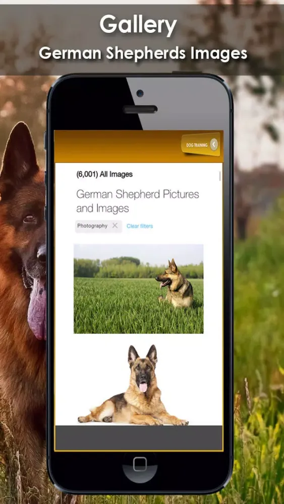 ภาพหน้าจอของ K9 German Shepherds Watch Dogs - Rescue Dogs Prem