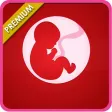 Help Pregnancy & Baby Tools For Expecting Moms+ Help Pregnancy & Baby Tools For Expecting Moms+