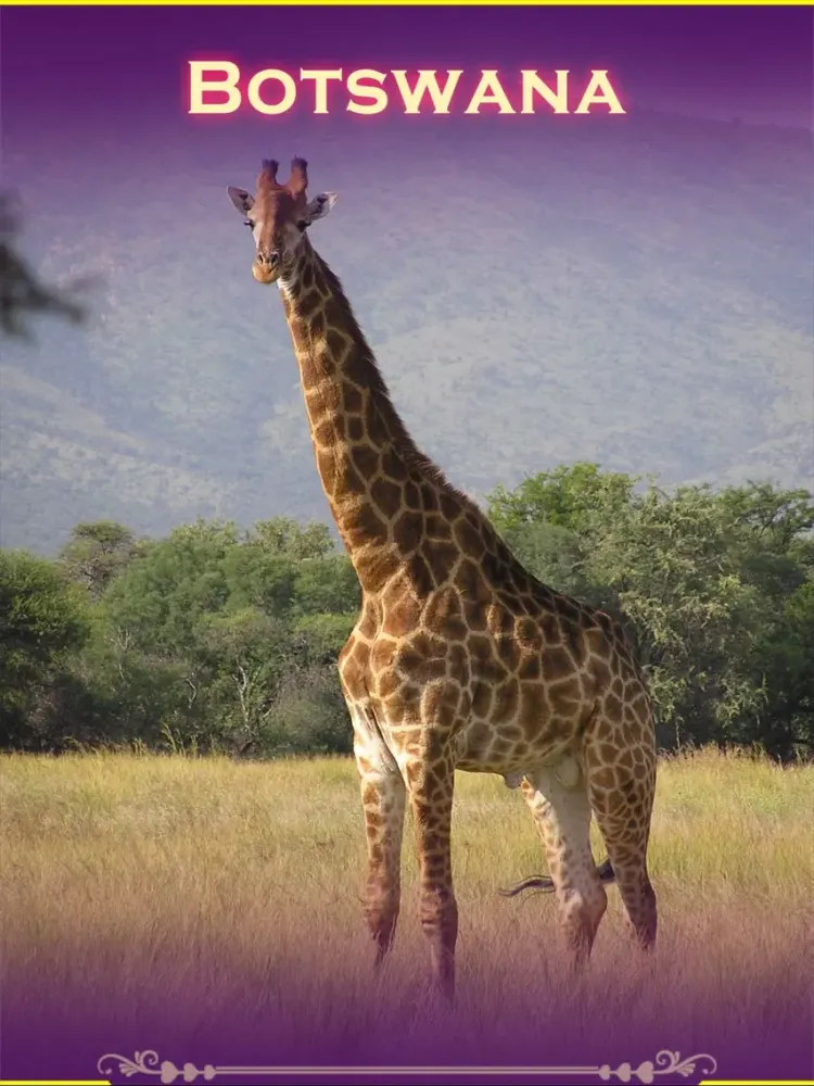 Capturas de tela do Botswana Tourism iPad 