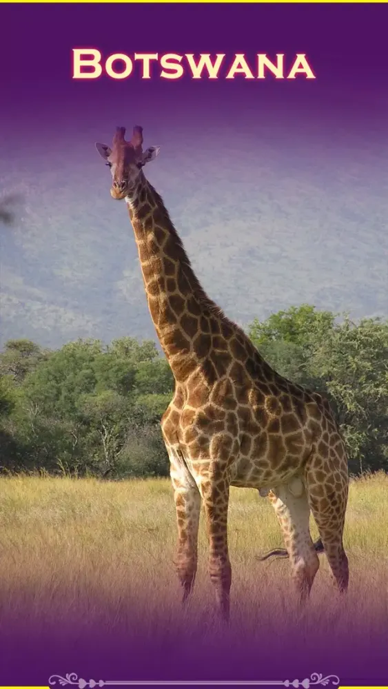 Capturas de tela do Botswana Tourism