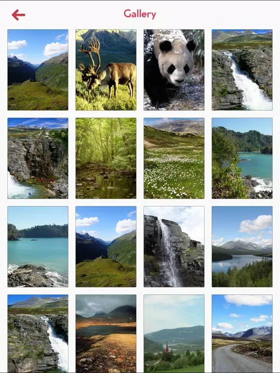 Rondane National Park Tourism iPad  Screenshots