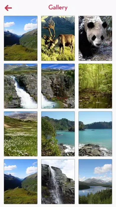 Rondane National Park Tourism Screenshots