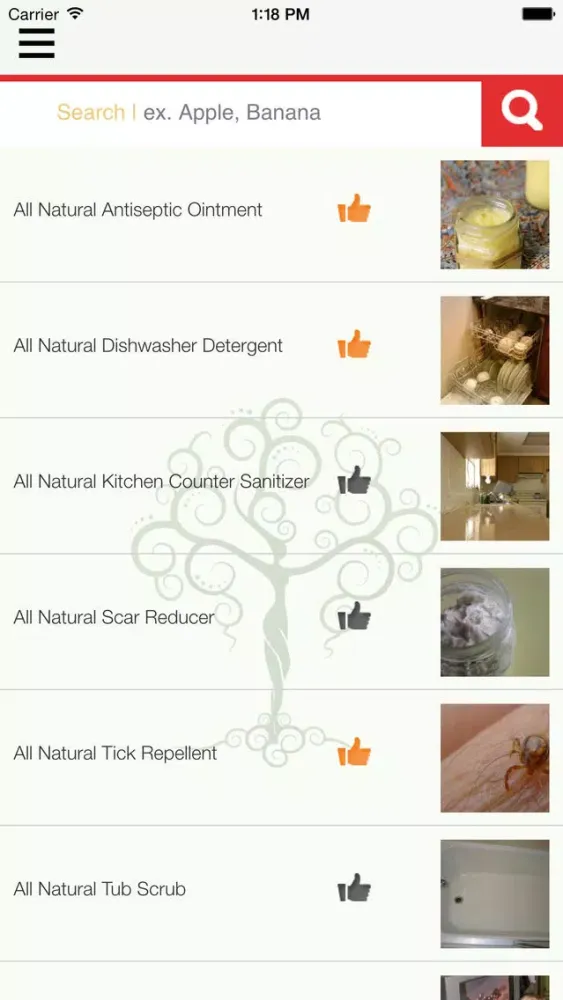 Capturas de pantalla de Natural Goddess DIY Homemade Green Beauty, Home, Cleaning, Body, Hair, Skin, Health & Pets Recipes