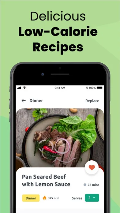 Capturas de tela do Weight Loss Diet Meal Plan