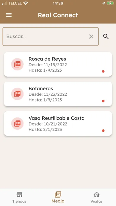Capturas de tela do RM Connect 2029