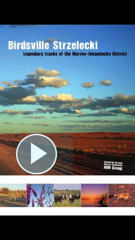 Birdsville & Strzelecki Outback Tracks Guide Ekran Görüntüleri
