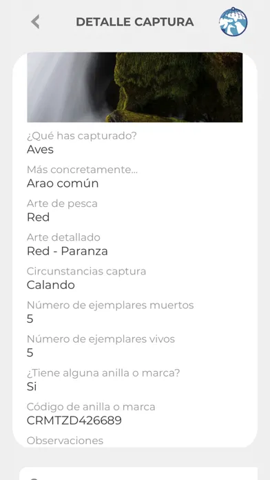 BYCATCH SEO BirdLife – CSIC Screenshots