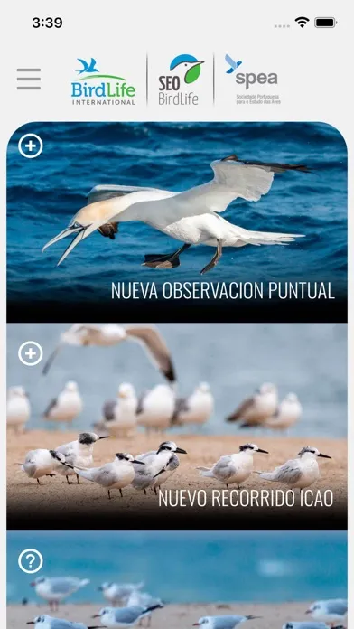 Zrzuty ekranu ICAO SEO Birdlife
