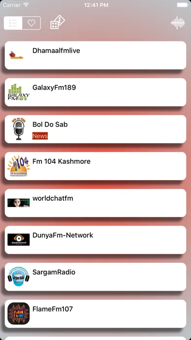 Pakistan Radio Live FM (Islamabad / Urdu / پاکستان ریڈیو / اردو)应用截图