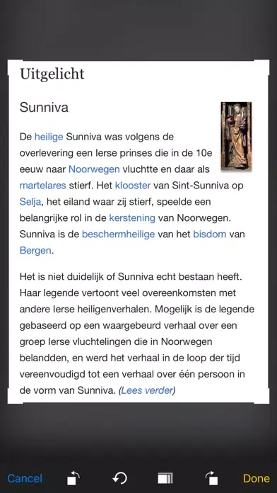 Tangkapan skrin Dutch-English Translator