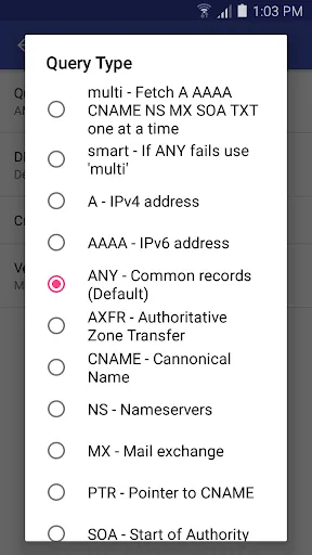Скриншоты DNS Lookup - With Links