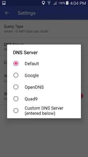 Скриншоты DNS Lookup - With Links