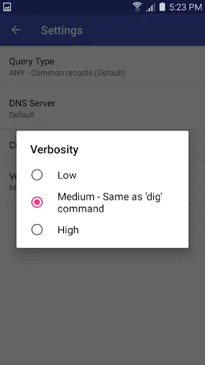 Скриншоты DNS Lookup - With Links