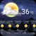 Live Weather Forecast
