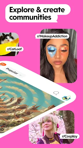 Reddit Screenshots