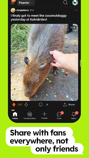 Reddit Screenshots