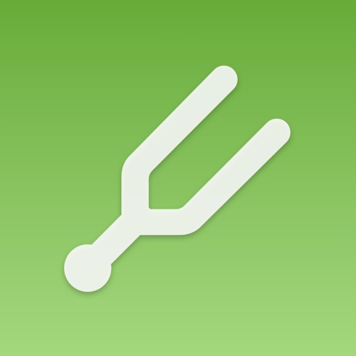 InTune - Simple Guitar Tuner