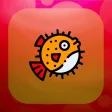 Puffball Pufferfish Pro Puffball Pufferfish Pro