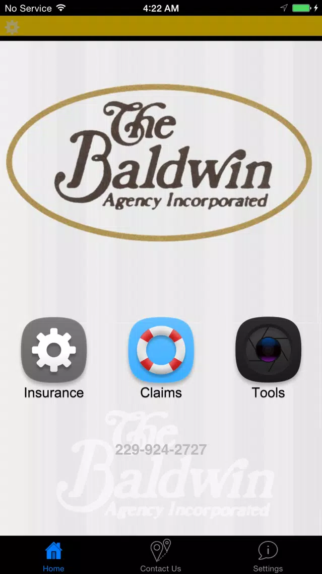 Скриншоты The Baldwin Insurance Agency