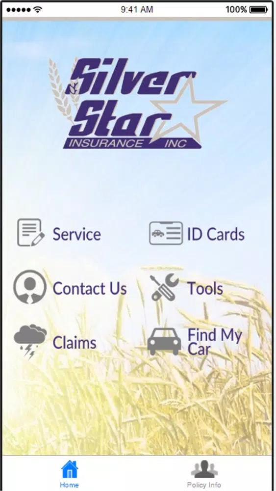 Silver Star Insurance سکرین شاٹس