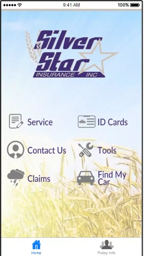 Silver Star Insurance স্ক্রিনশট