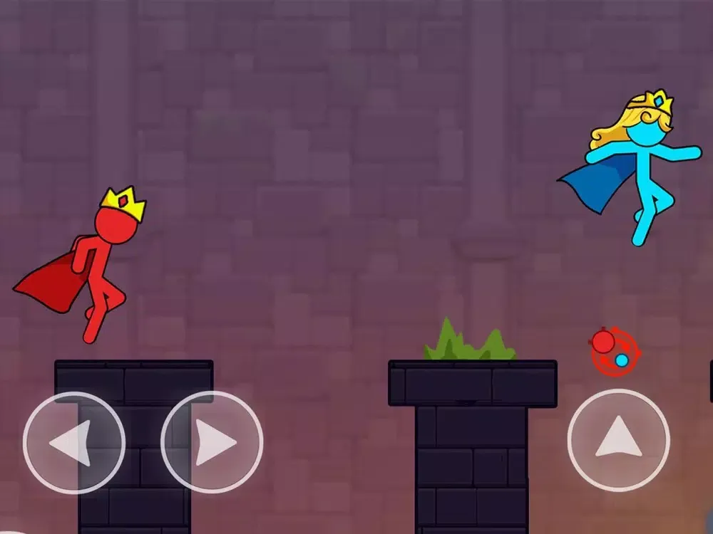 Blue Girl Vs Red Stickman iPad 应用截图