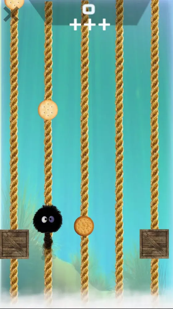 Yapi Crackers Screenshots