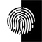 Hidden msg: hide your files