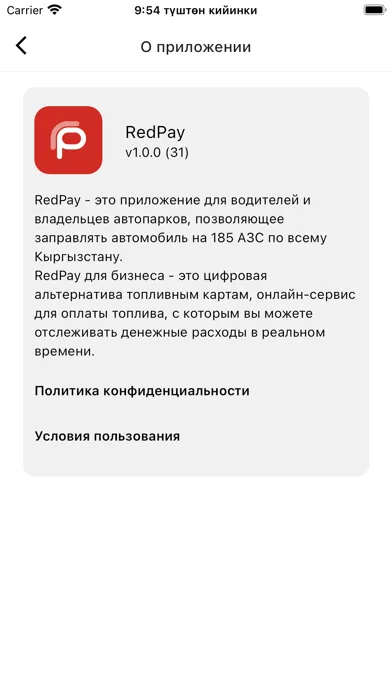RedPay KG应用截图