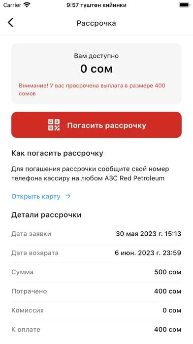 RedPay KG应用截图