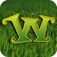 Weed Man of Western Kentucky