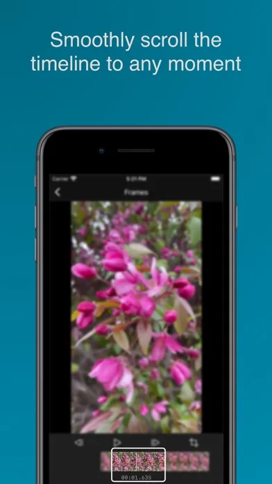 Grab Frame - Video to Photo سکرین شاٹس