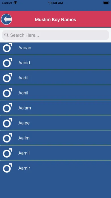 Tangkapan skrin Muslim Baby Names &Asmaulhusna