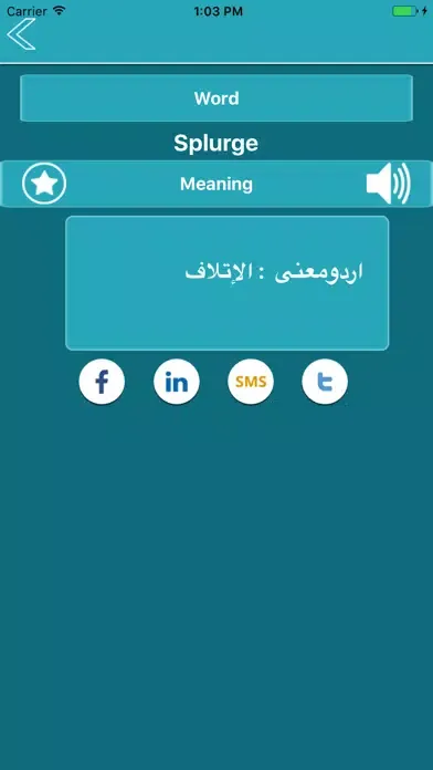 Скриншоты English To Urdu Vocabulary