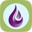 Field Guide to YL Oils (ZH) Field Guide to YL Oils (ZH)