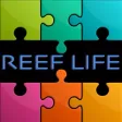 RL Puzzles RL Puzzles