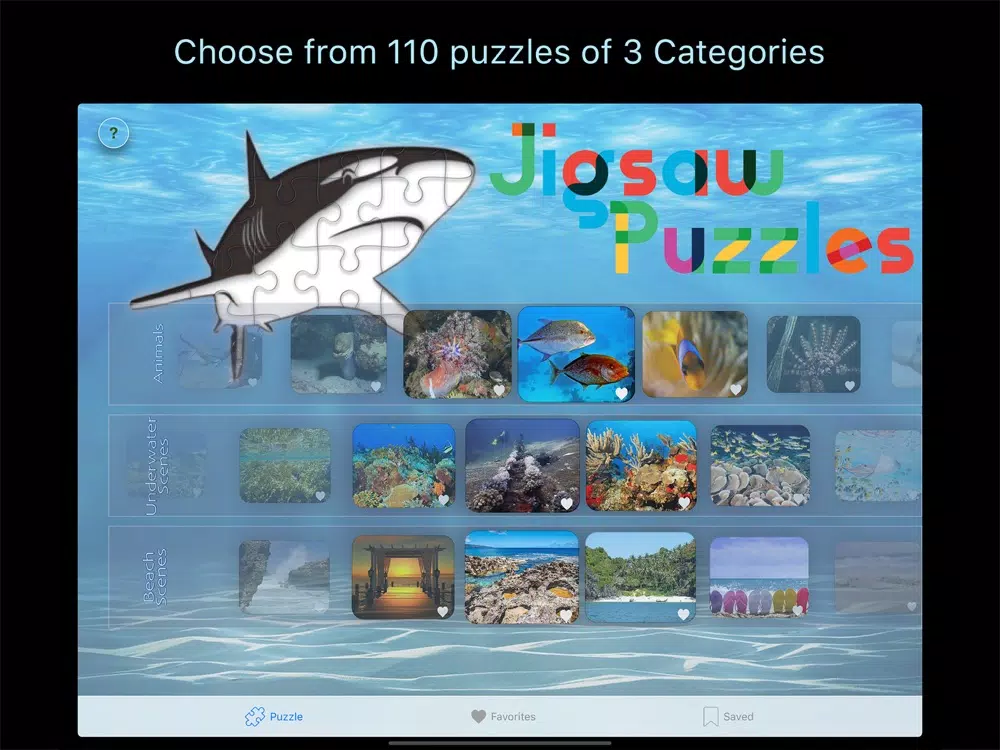 RL Puzzles iPad  스크린샷