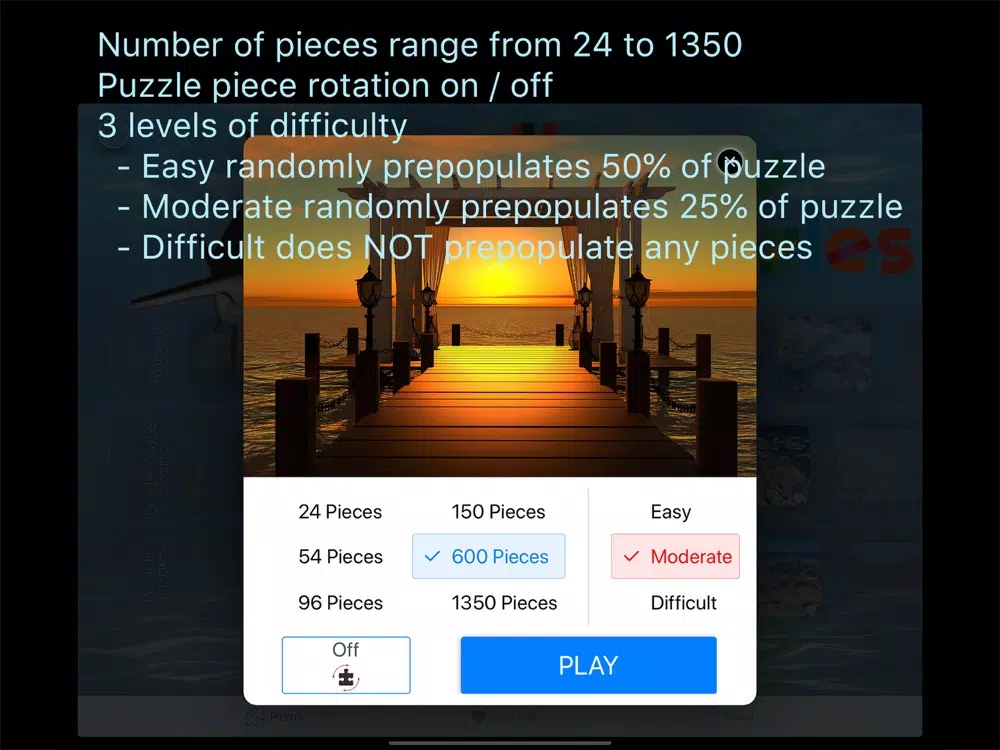 RL Puzzles iPad  스크린샷