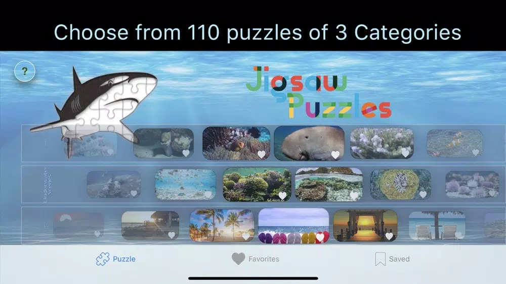 RL Puzzles 스크린샷