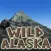 WILD ALASKA SLOT MACHINE